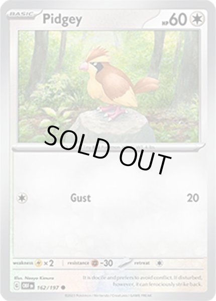 Pidgey/ポッポ  (OBF 162/197 Common) NM