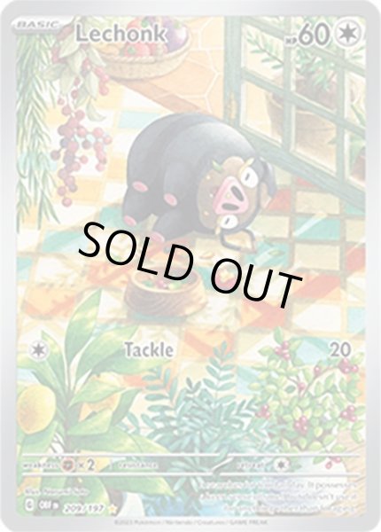 Lechonk/グルトン  (OBF 209/197 Illustration Rare) NM