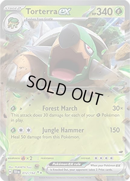 Torterra ex/ドダイトス  (TEF 12/162 Double Rare) NM