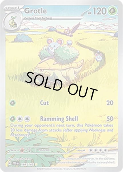 Grotle/ハヤシガメ  (TEF 164/162 Illustration Rare) NM