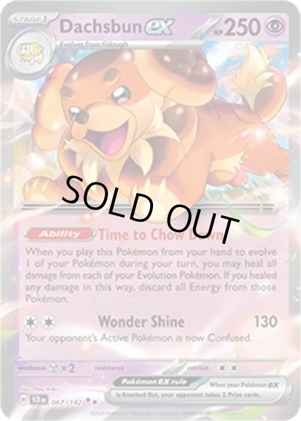 Dachsbun ex/バウッツェル  (SCR 67/175 Double Rare) NM